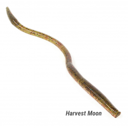 Big Sandy Worm 11"