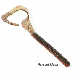 Kowikkee Worm 12"