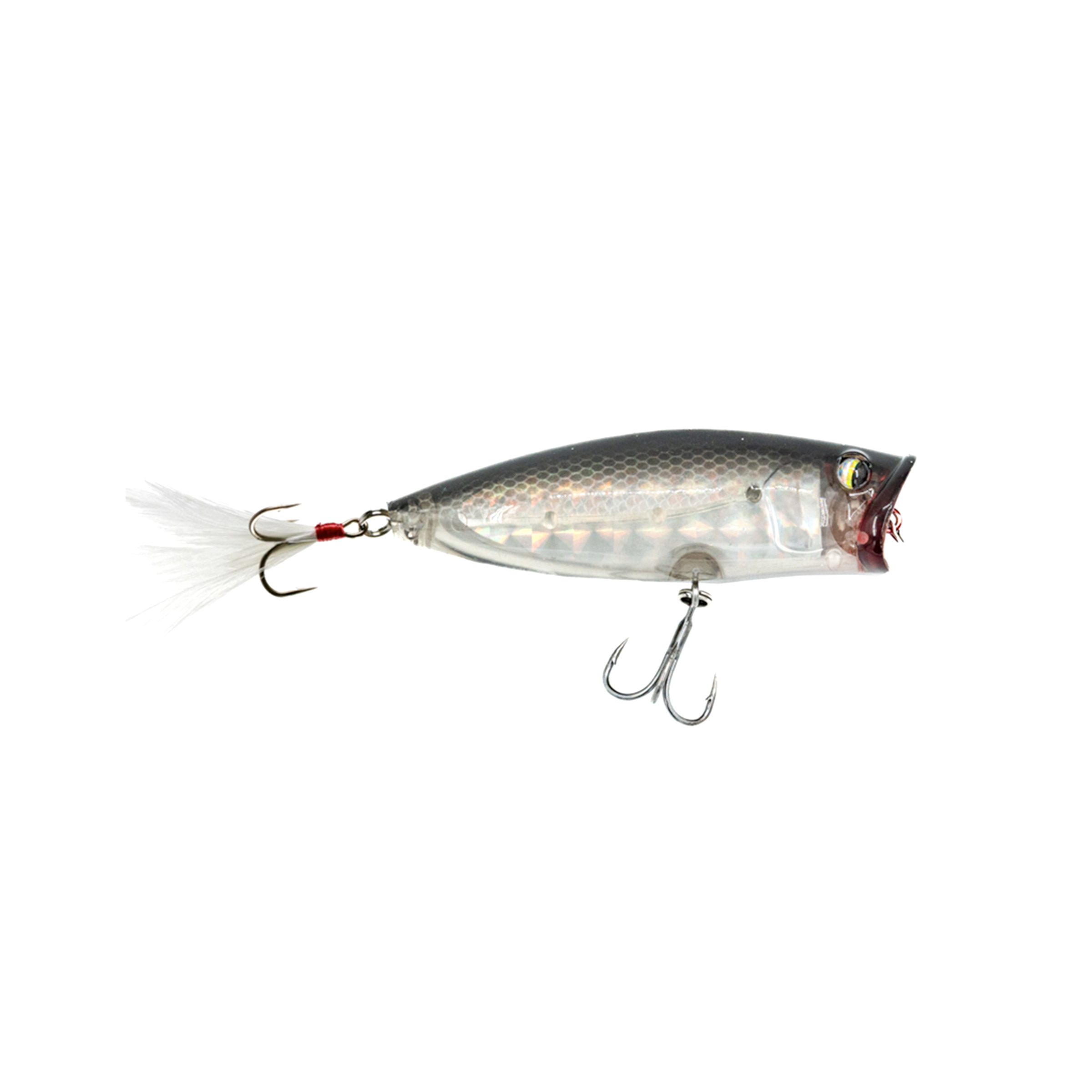 fish lure pop top Poppa Chewy Junior 5 O'Clock Shadow