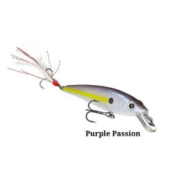 Bray Z Suspending Jerkbait