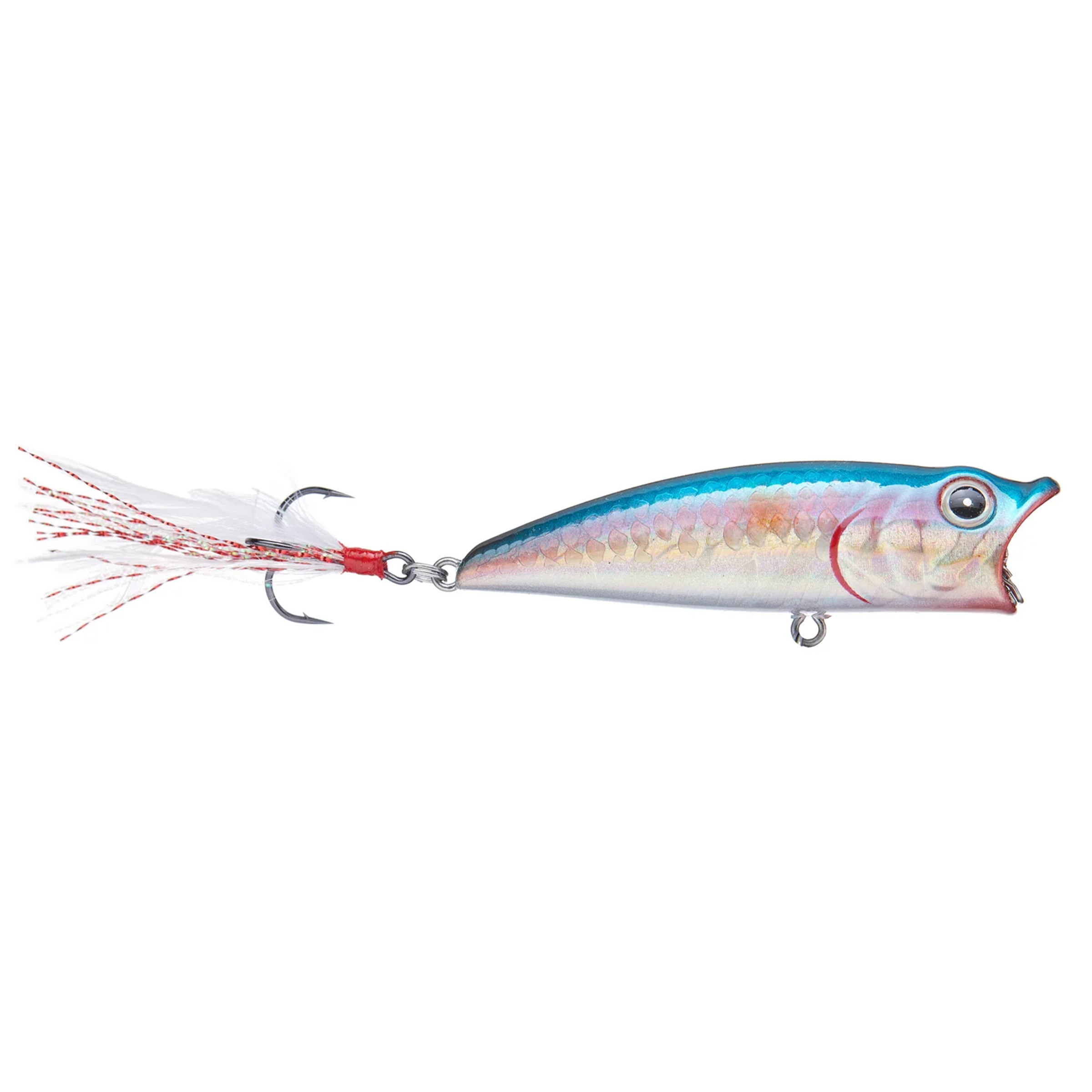 chinese copy of fishing lures Azuma Popper Z Popper Blue Herring the Azuma Popper Z Color:Chrome Coon Catcher Lure - Slammer Crank Bait