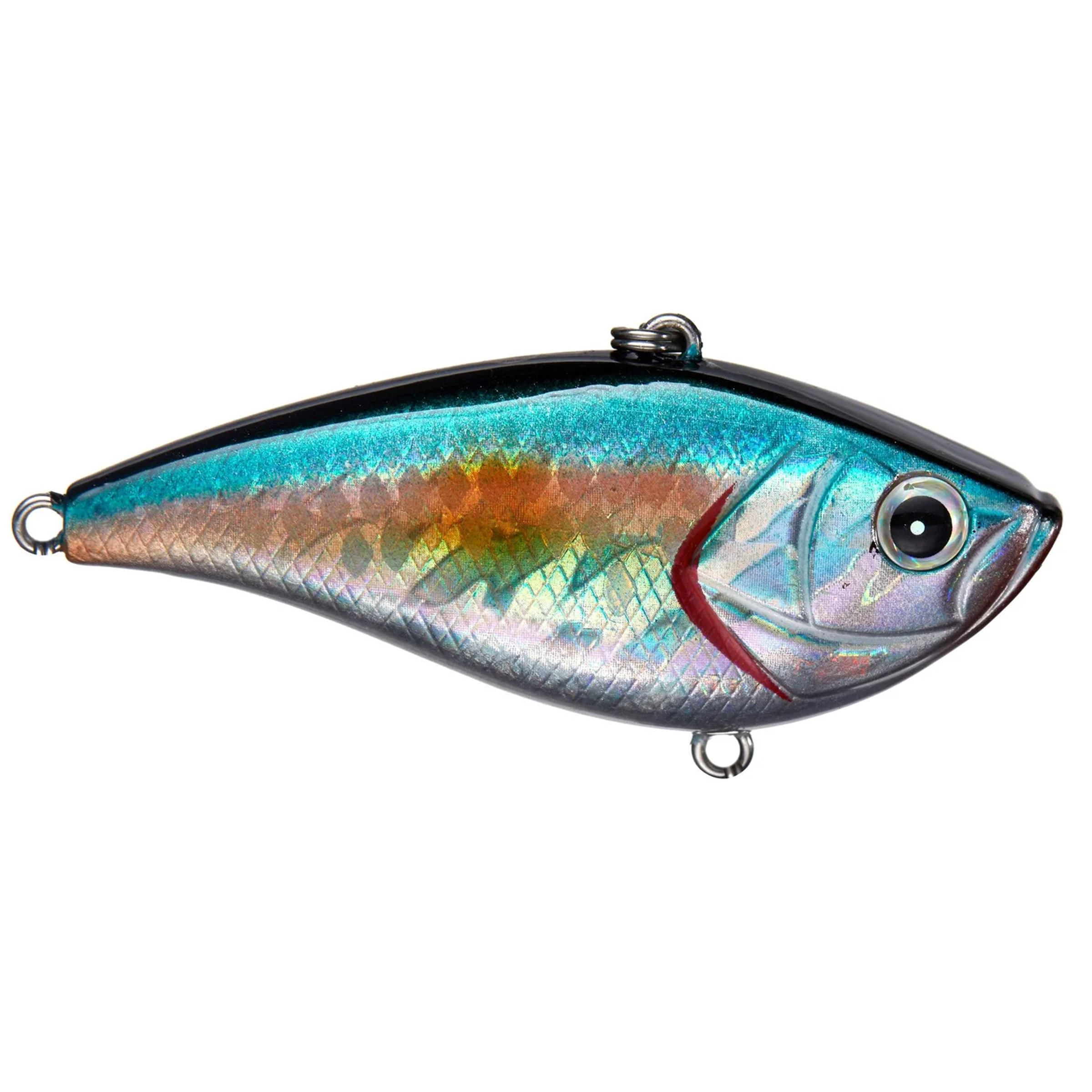 Shaker Z Knock Knock Lipless Crankbait – BassMooch