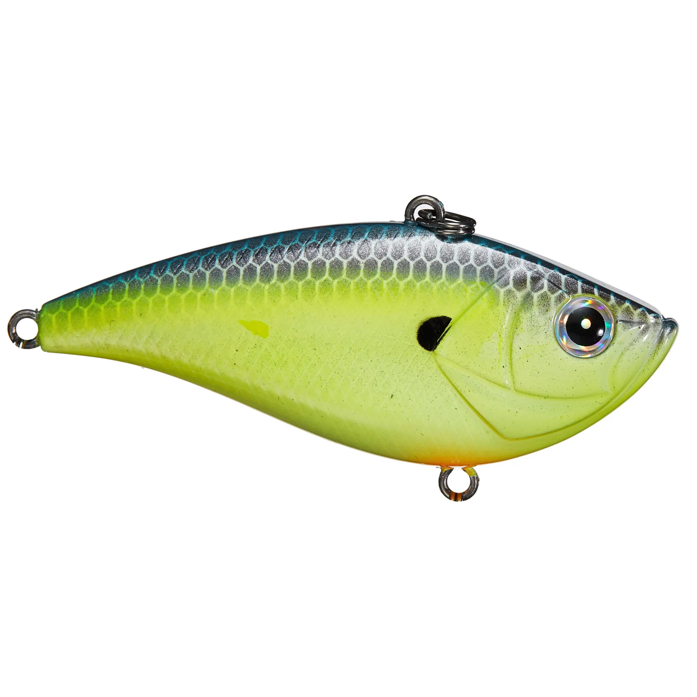 Shaker Z Knock Knock Lipless Crankbait