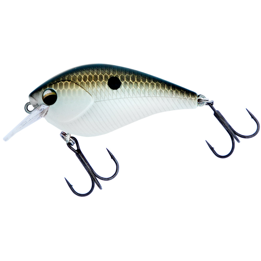 Poppa Chewy Topwater Killa – BassMooch Poppa Chewy Topwater Killa – BassMooch