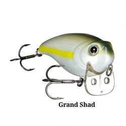 Wake Z – BassMooch