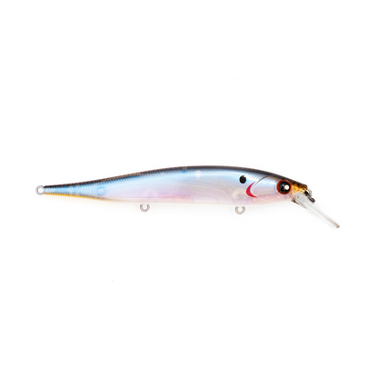 HC 95 Jerkbait