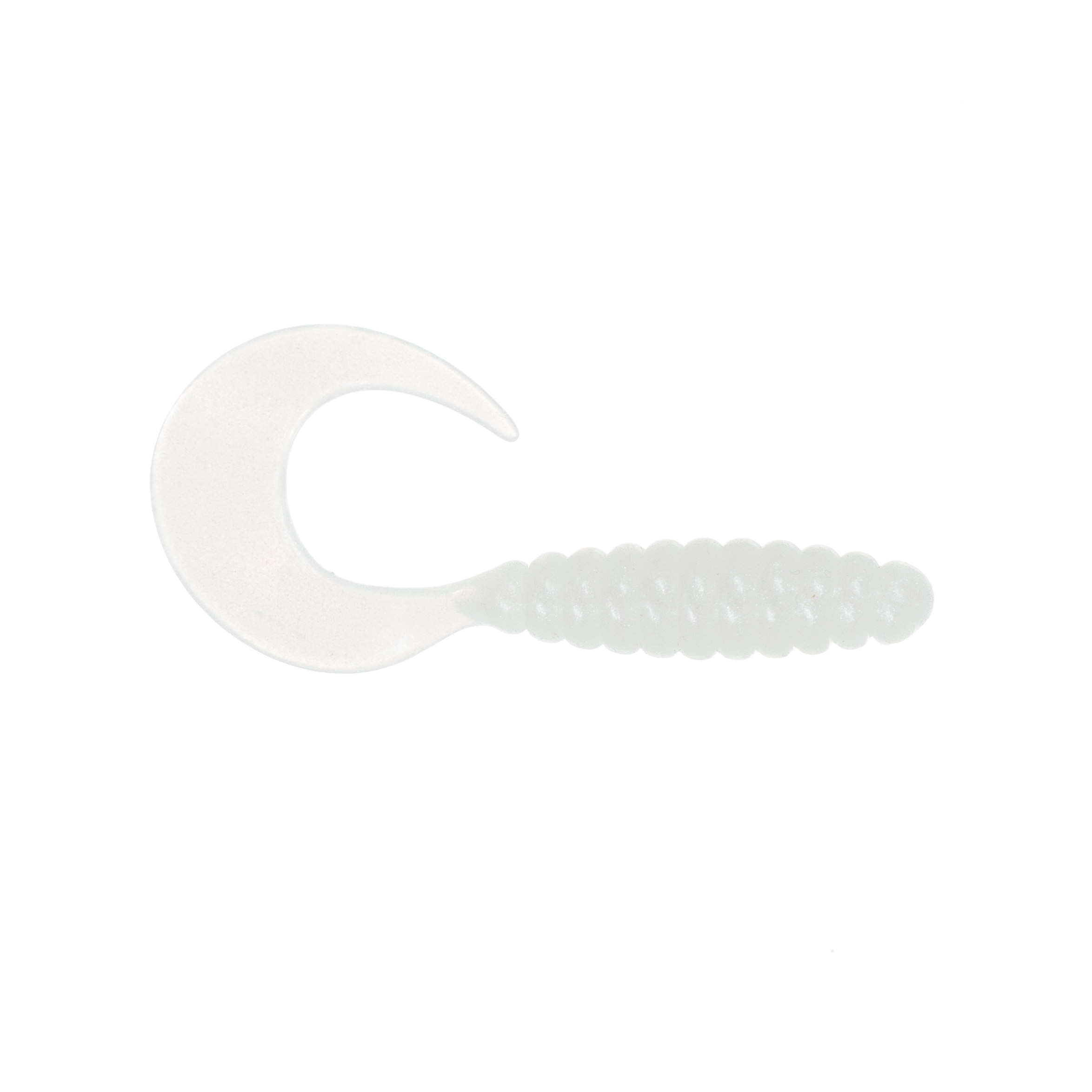 Carolina Grub