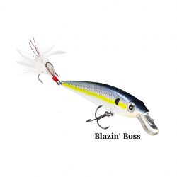 Bray Z Suspending Jerkbait