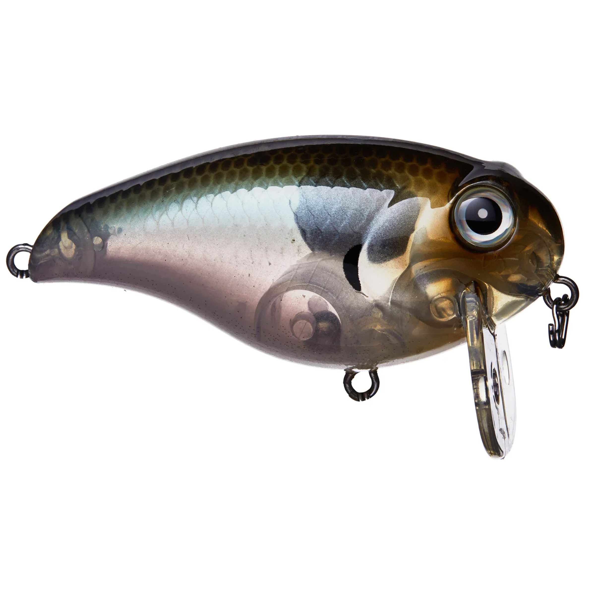 Wake Z – BassMooch