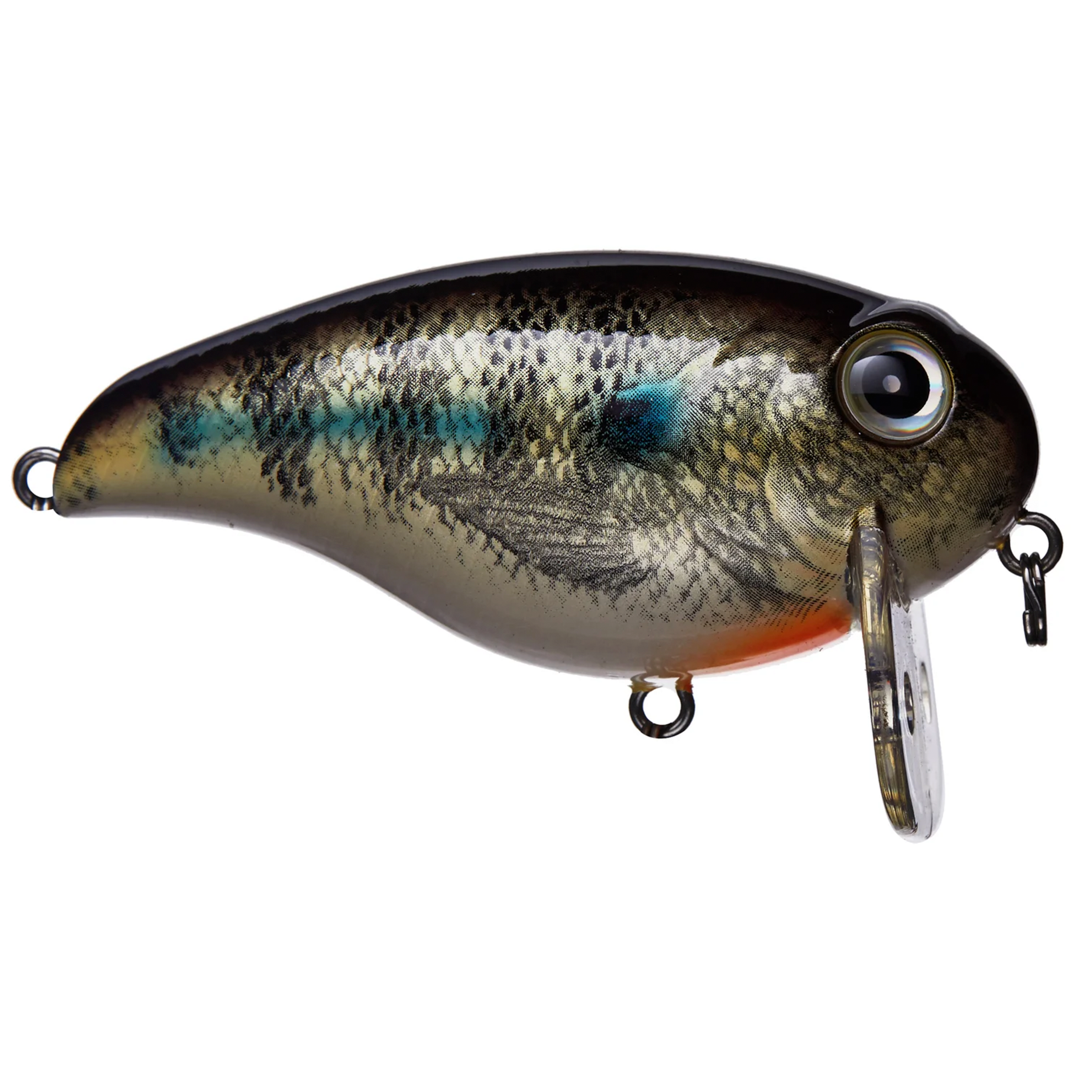 マッカラム 6'3 McCALLUM Gypsy Fish
Gypsy Fish mccallum surfboards - bons-casa de verano 千葉県大網白里市の